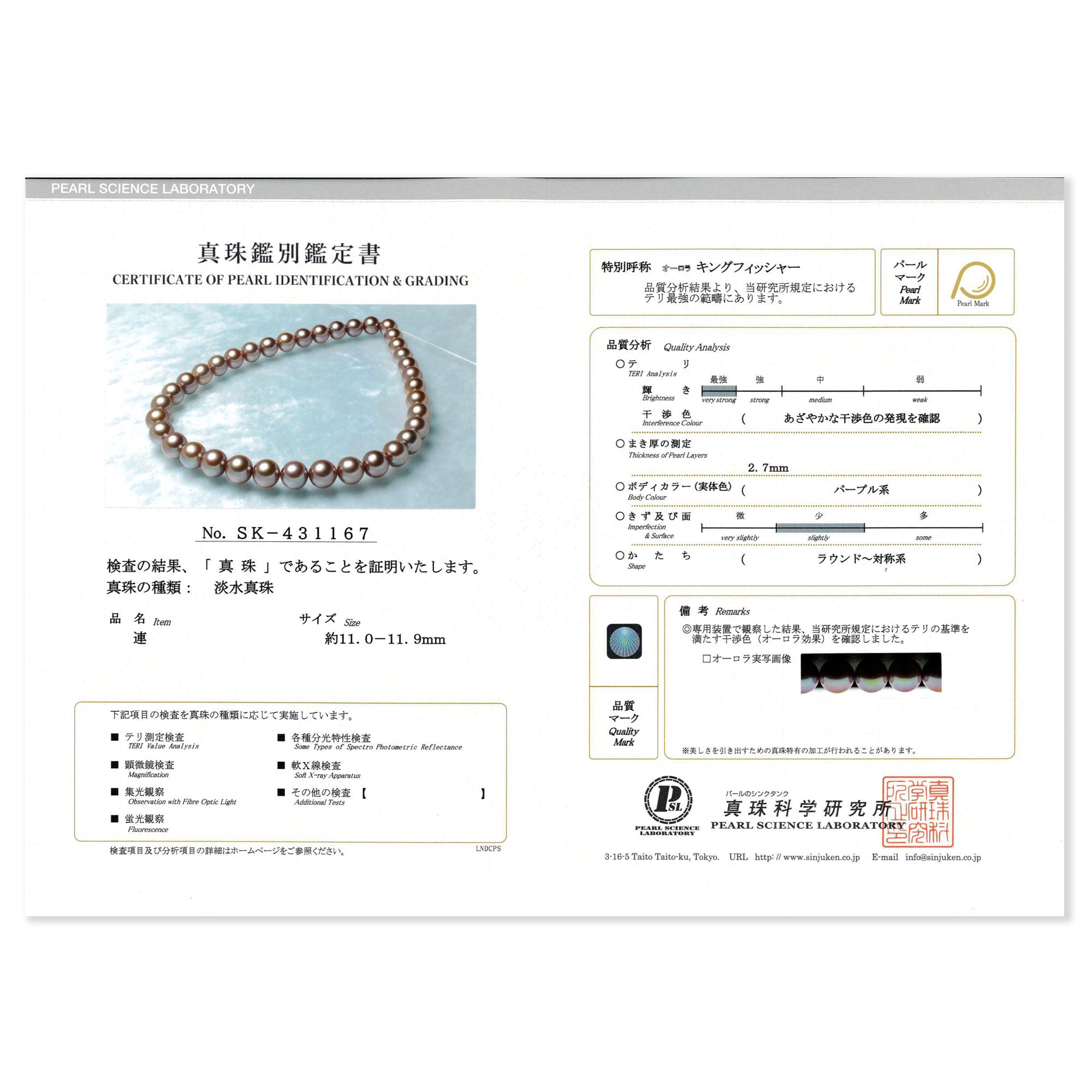 1點商品，已售罄，不公開販售　海水珍珠項鍊 10.7-11.8mm 翠鳥鑑定書 -紫堇色-